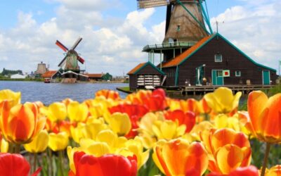 Netherlands scraps quarantine for vaxxed pax 