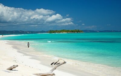 Madagascar slaps ban on SA flights