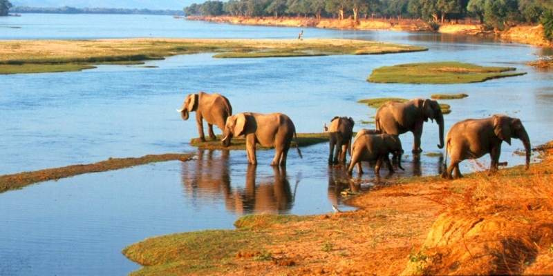With effect from last Friday, March 4, travellers who are fully vaccinated against COVID-19 may now travel into Zimbabwe across all land borders.