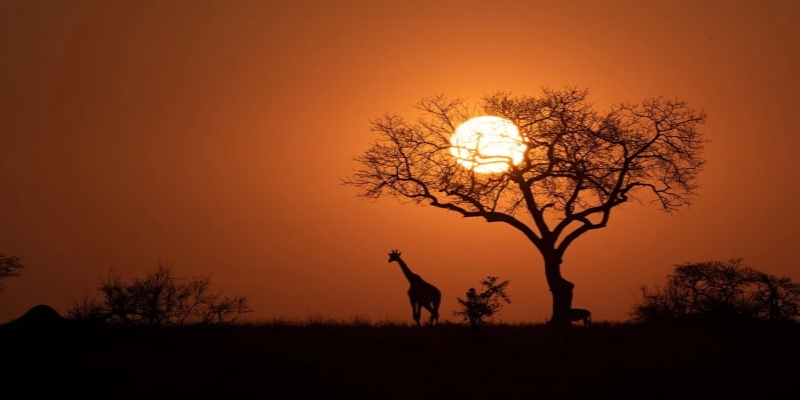 The Kruger is getting a R370 million upgrade – rebuilding a burnt shop, petrol station, and more