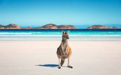 Australia to scrap vaccine requirements for arrivals