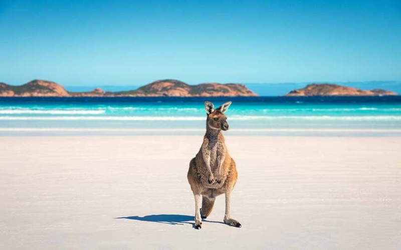 Australia to scrap vaccine requirements for arrivals