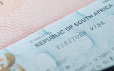 Home Affairs is trying to clear a backlog of 56,543 visas – which may be done by June 2024