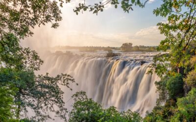 Zambia removes all Covid-19 entry requirements