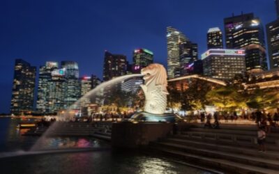 Free Singapore Tour for transfer and transit passengers returns