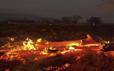 Hawaii fires: tourists warned against travelling to Maui in wake of disaster