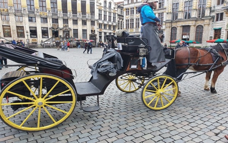 Brussels becomes first city in Europe to replace horse-drawn tourist carriages with electric ones