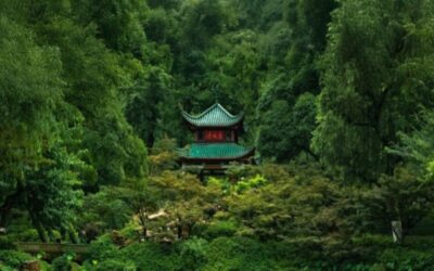 Cathay Pacific adding Changsha flights to its network