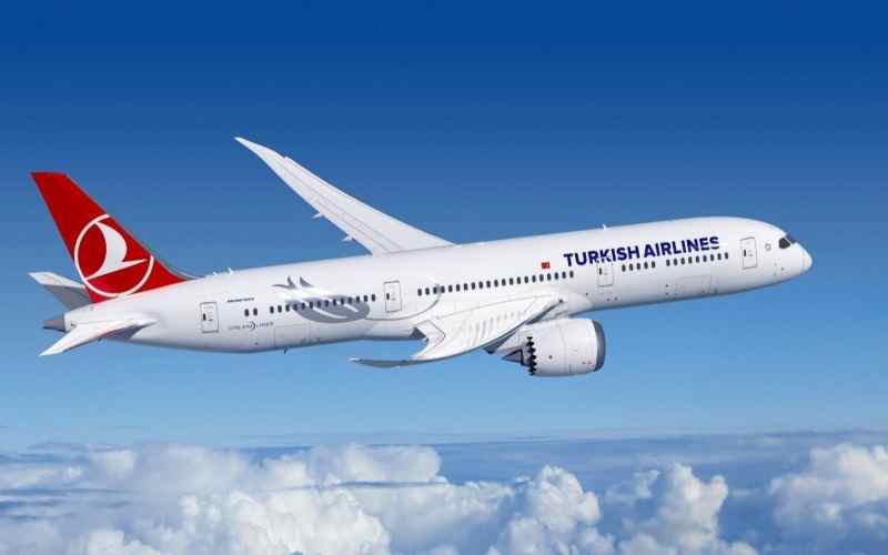 TK suspends multiple routes