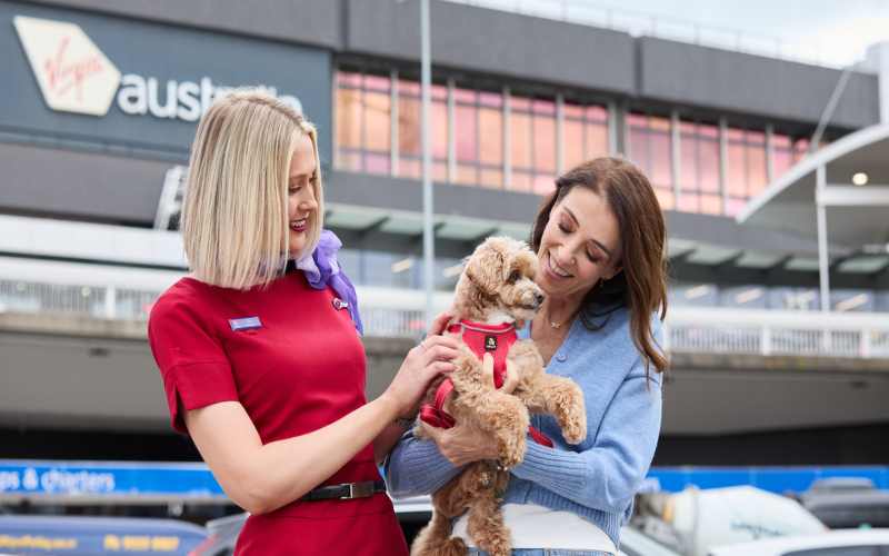 Virgin adds more ‘pets on planes’ flights