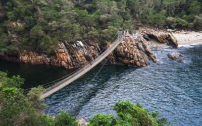 Tsitsikamma Suspension Bridge temporarily closed for final refurbishment