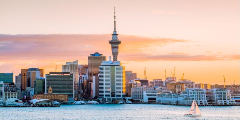 New Zealand to move selected visitor and transit visa applications fully online from October 1